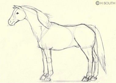 Detalių pridėjimas prie arklio piešinio