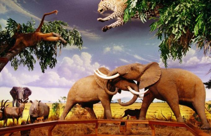 Afrykańska wystawa dzikich zwierząt ze sztucznymi drzewami i zwierzętami