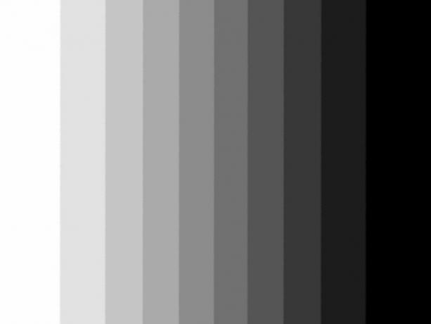 Una escala de grises, dispuesta verticalmente.