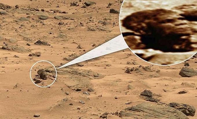 Una roccia su Marte che sembra una testa