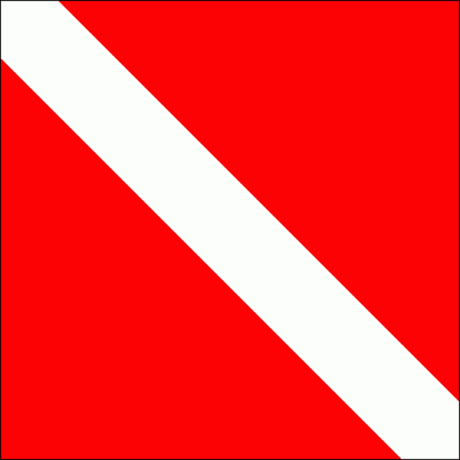 nardymo vėliava, naudojama įspėti apie narus vandenyje