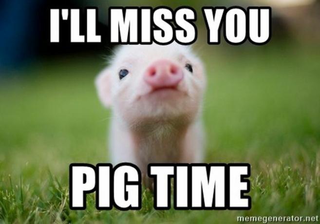 Baby Pig saknar dig