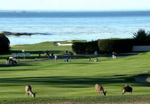 Pebble Beach attēli un fakti par slavenajām golfa saitēm