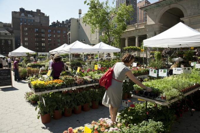 Kupujący cieszą się z asortymentu Green Market.