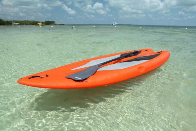 Et Lifetime Freestyle™ Paddleboard, der flyder nær kysten