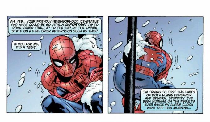 Peter Parker Spider-Man Śnieżny Dzień