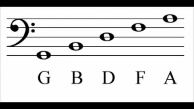 Bass nota anahtarı