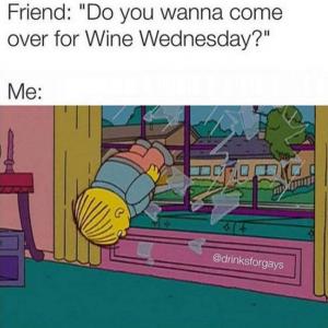 Ali se lahko povežete s temi pijanimi memi o vinu?