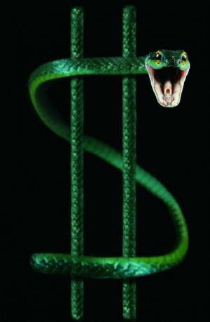 Kuva dollarin merkin ympärille kietoutuvasta käärmeestä.