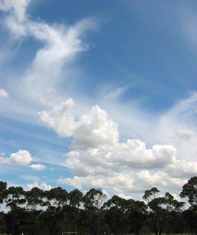 референтна снимка за рисуване в облак