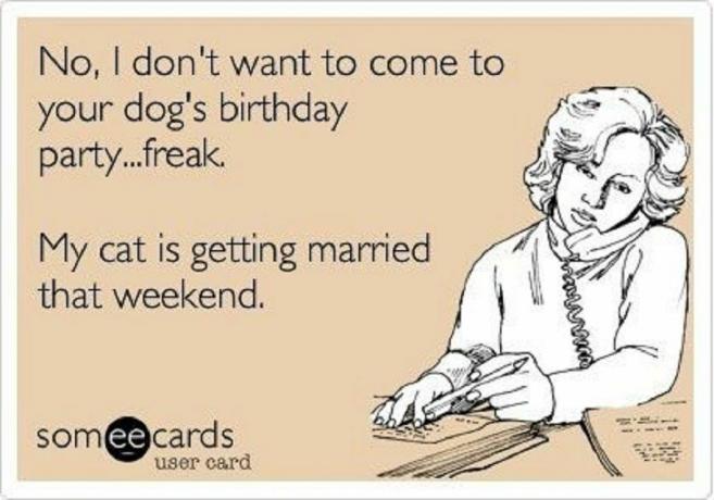 Mulher com fundo rosa e texto: Não, não quero ir à festa de aniversário do seu cachorro... aberração. Meu gato vai se casar naquele fim de semana.