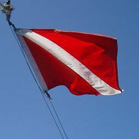 naras žemyn vėliava