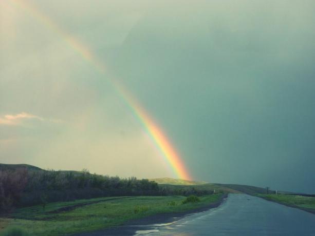 Naturskøn udsigt over regnbuen over vej og græsklædte mark