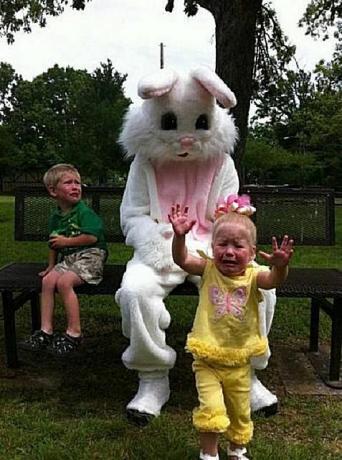assustador-bunny9.jpg