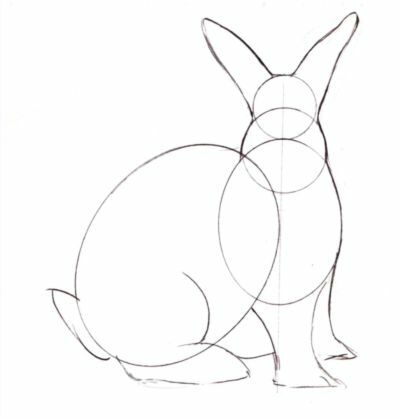 нарисуйте кролику уши, лапки и хвост
