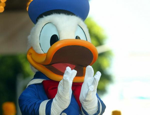 Donald Duck a fost onorat cu o stea pe Hollywood Walk of Fame pentru realizările sale în film