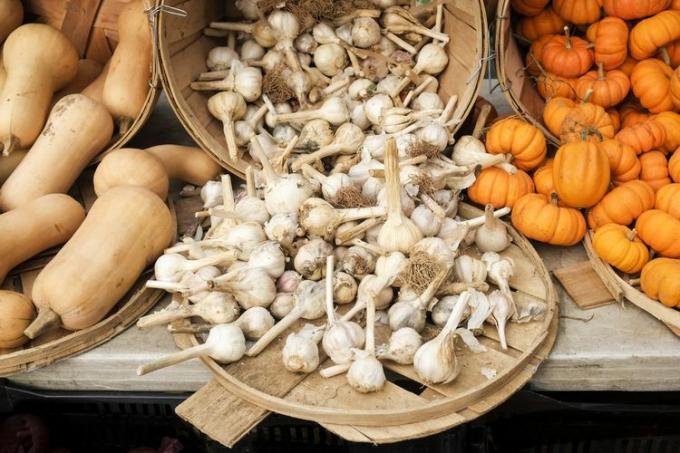 Hvidløg, miniature græskar og squash på markedet