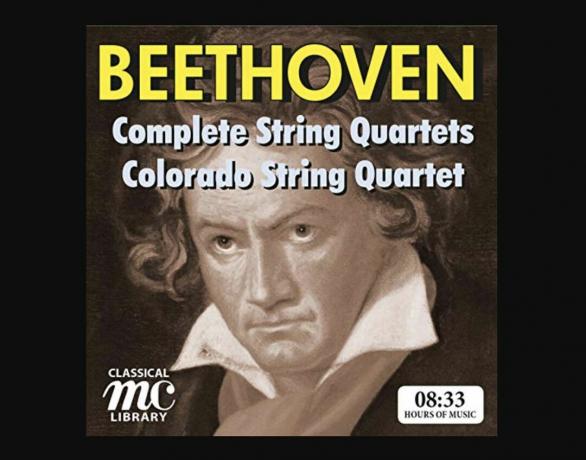 Beethoveni täielikud keelpillikvartetid