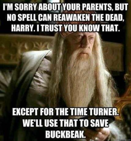 Mem o Harrym Potterze