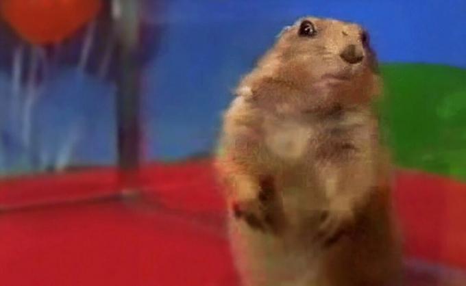 O captură de ecran a memei virale Dramatic Chipmunk care arată foarte... dramatic.