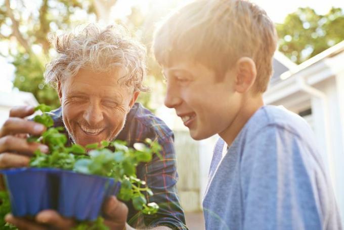 Grand-père enseignant à son petit-fils les verts