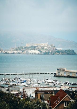 Esej pro čtenáře: Jak mi plavání v Alcatrazu pomohlo překonat úzkost