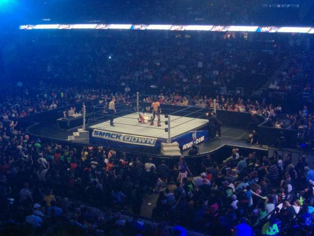 WWE SmackDown vs. Surovi zaslon igre 2011.